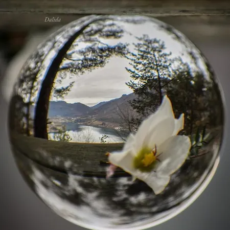 Appartamento Tulipano Vista Lago * Crone