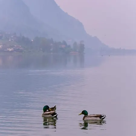 Appartamento Tulipano Vista Lago Crone