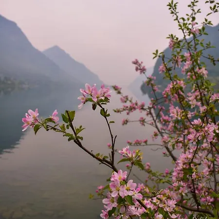 Appartamento Tulipano Vista Lago * Crone